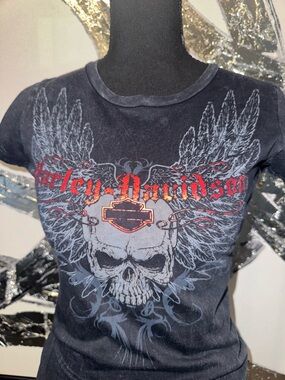 Harley-Davidson Black and Red Winged Skull Tee